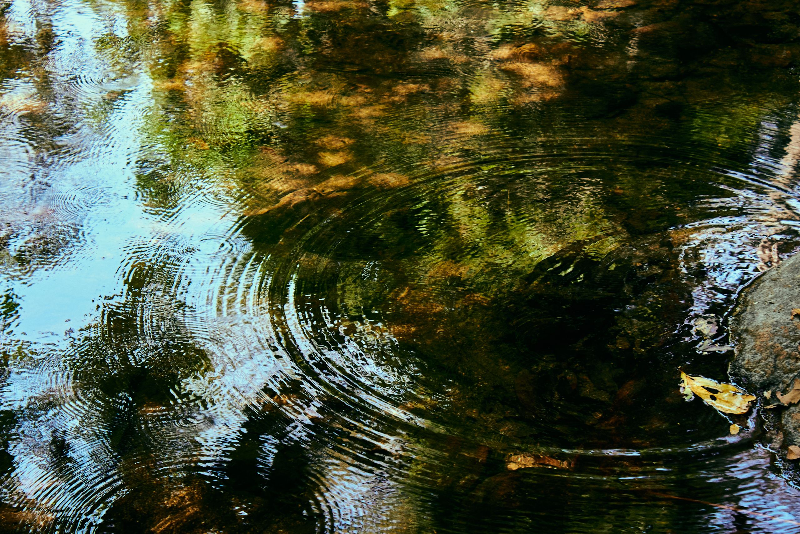 Calm river reflecting trees