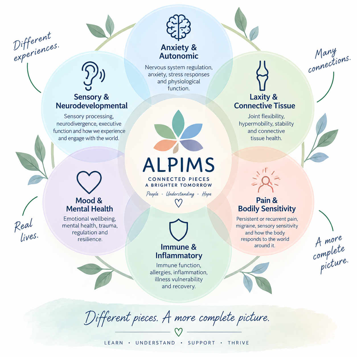 ALPIMS interconnected domains
