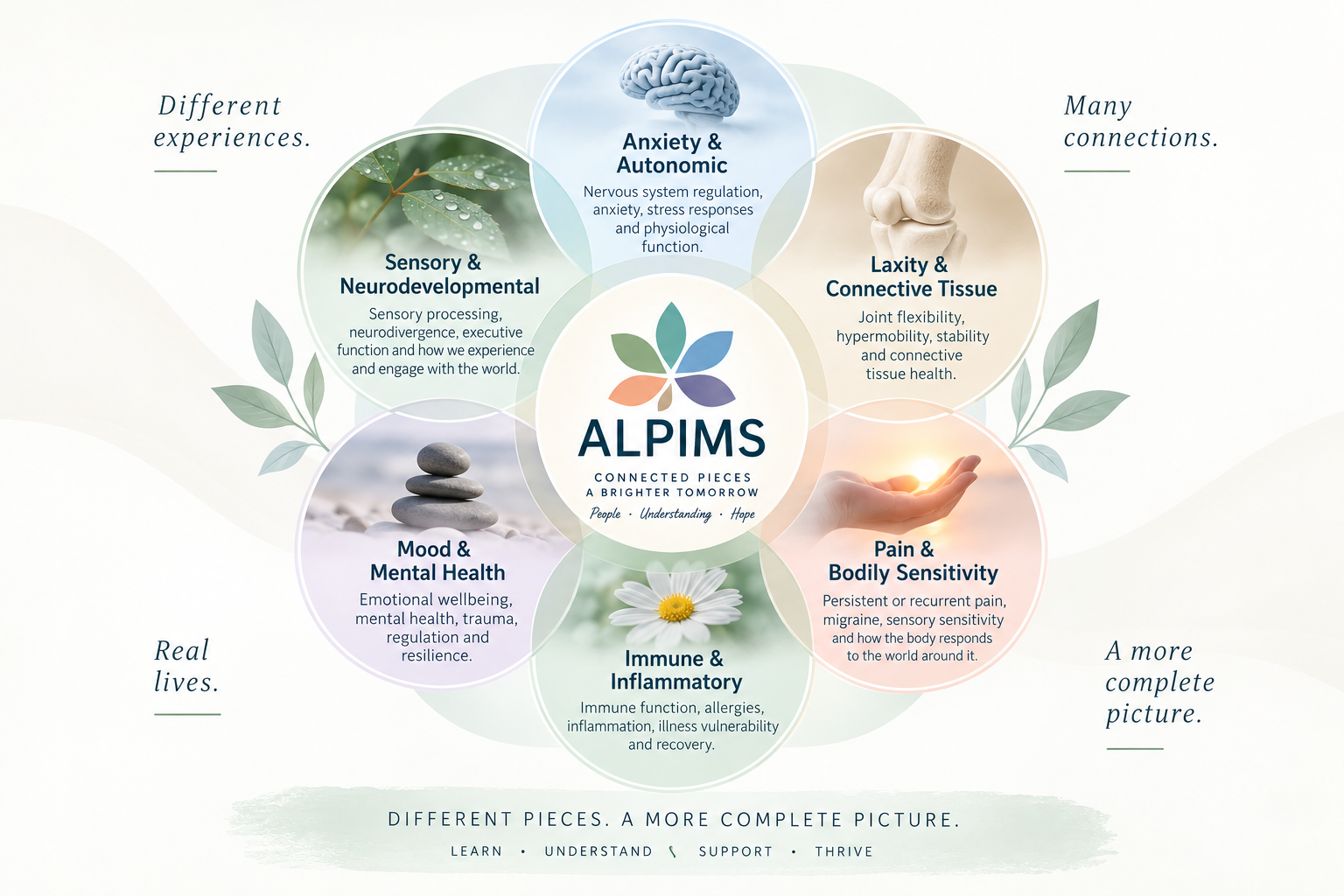 ALPIMS diagram showing six connected domains