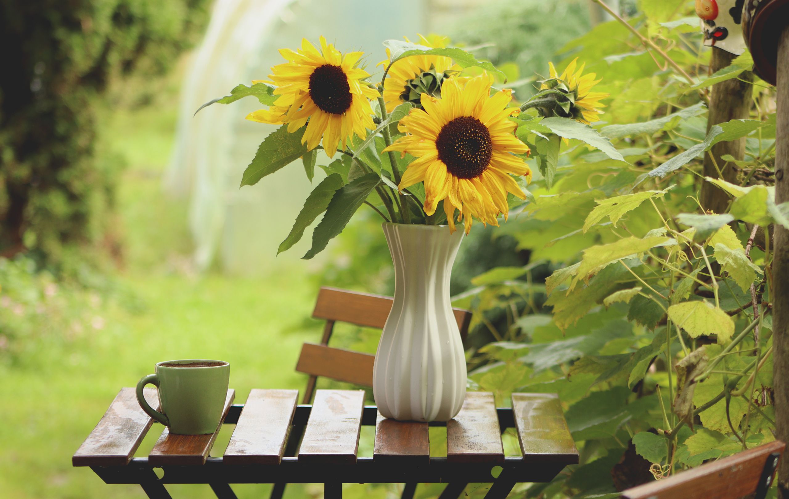 Sunflowers in a vase on an outdoor table